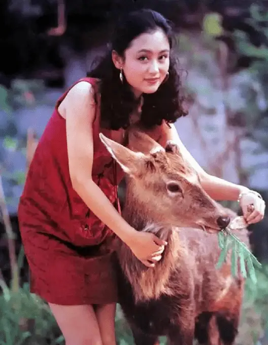 台湾女神颜值_最美女明星图片大全图片_港圈顶级美女