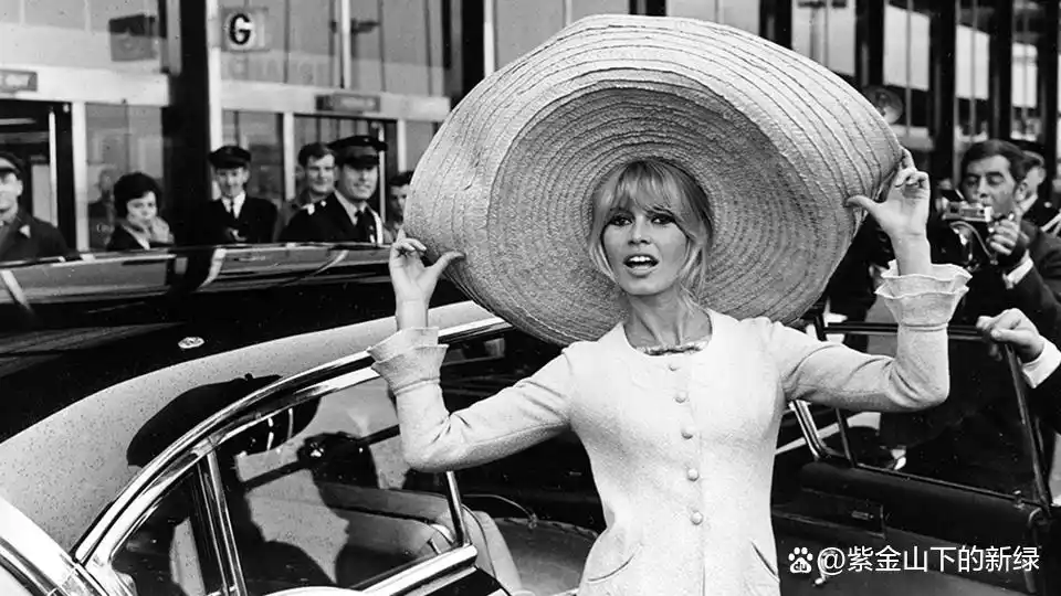 影史最美女演员排行榜 萨尔玛海耶克 伊丽莎白泰勒格蕾丝凯利_电影女明星 概览