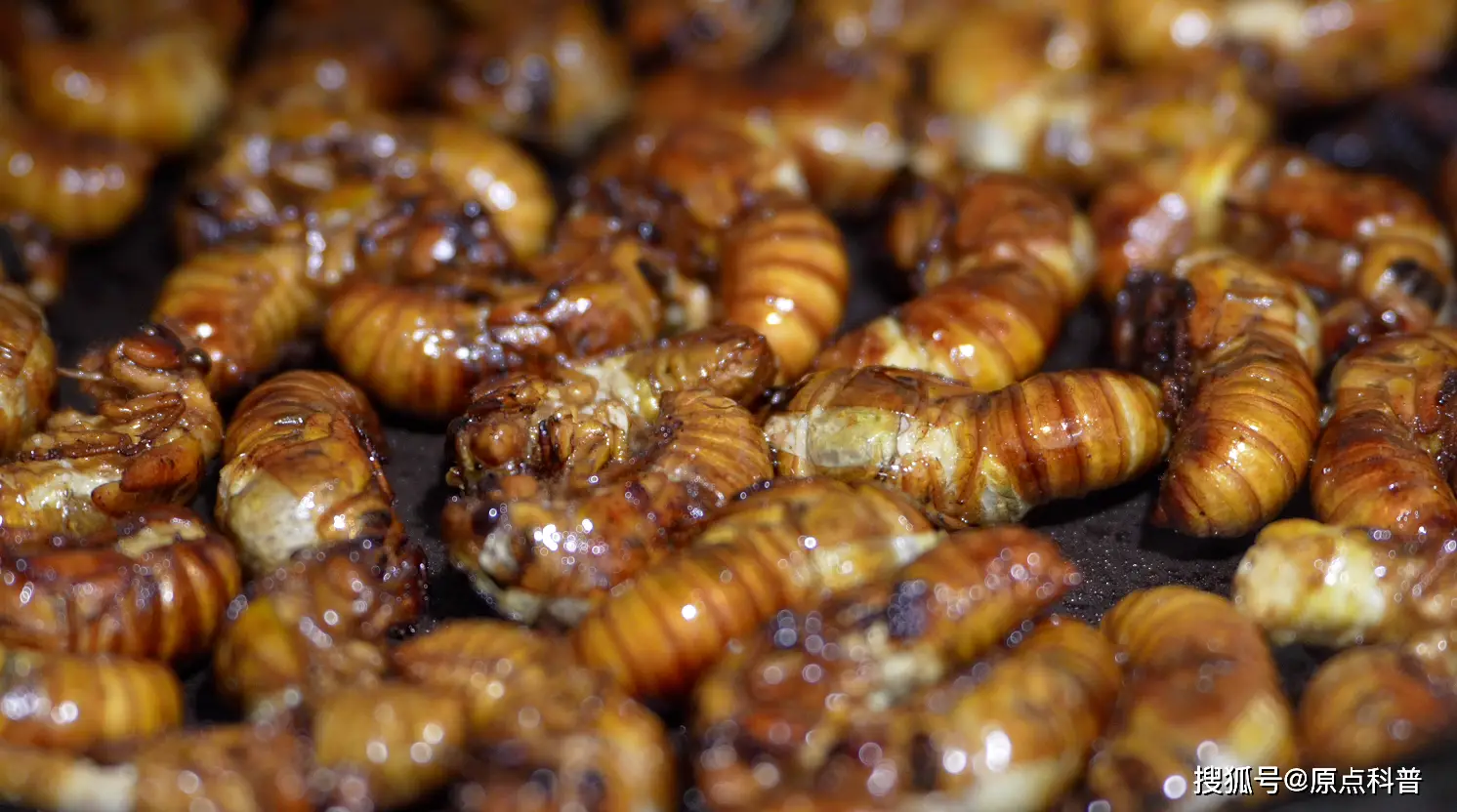 江苏黑暗料理排名_黑暗料理排行榜前十名网红,_江苏特色黑暗料理盘点